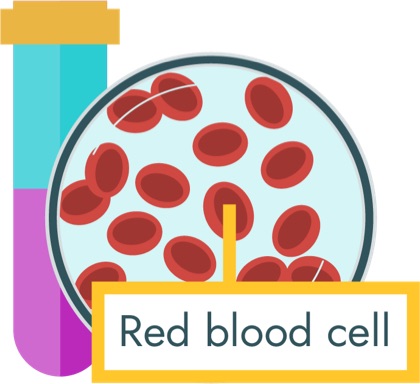 If your child is anemic, their neuroblastoma treatment team will administer a red blood cell transfusion through a central line
