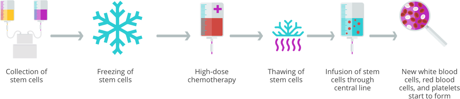 After high-dose chemotherapy your child is given an infusion of their thawed stem cells through a central line